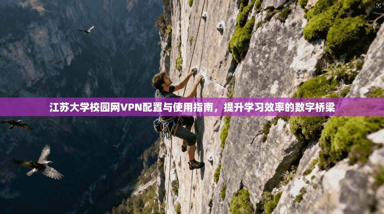 江苏大学校园网VPN配置与使用指南，提升学习效率的数字桥梁