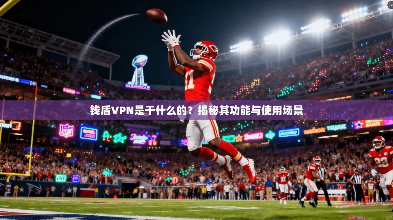 钱盾VPN是干什么的？揭秘其功能与使用场景