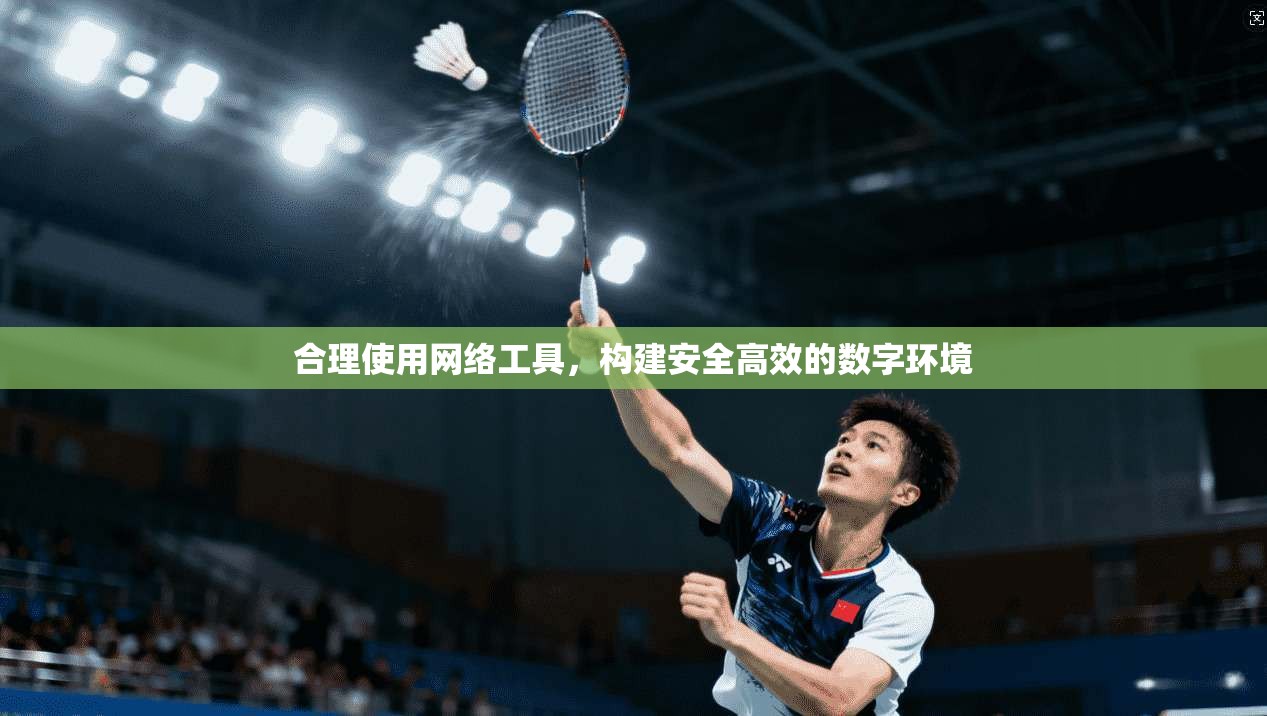 合理使用网络工具，构建安全高效的数字环境