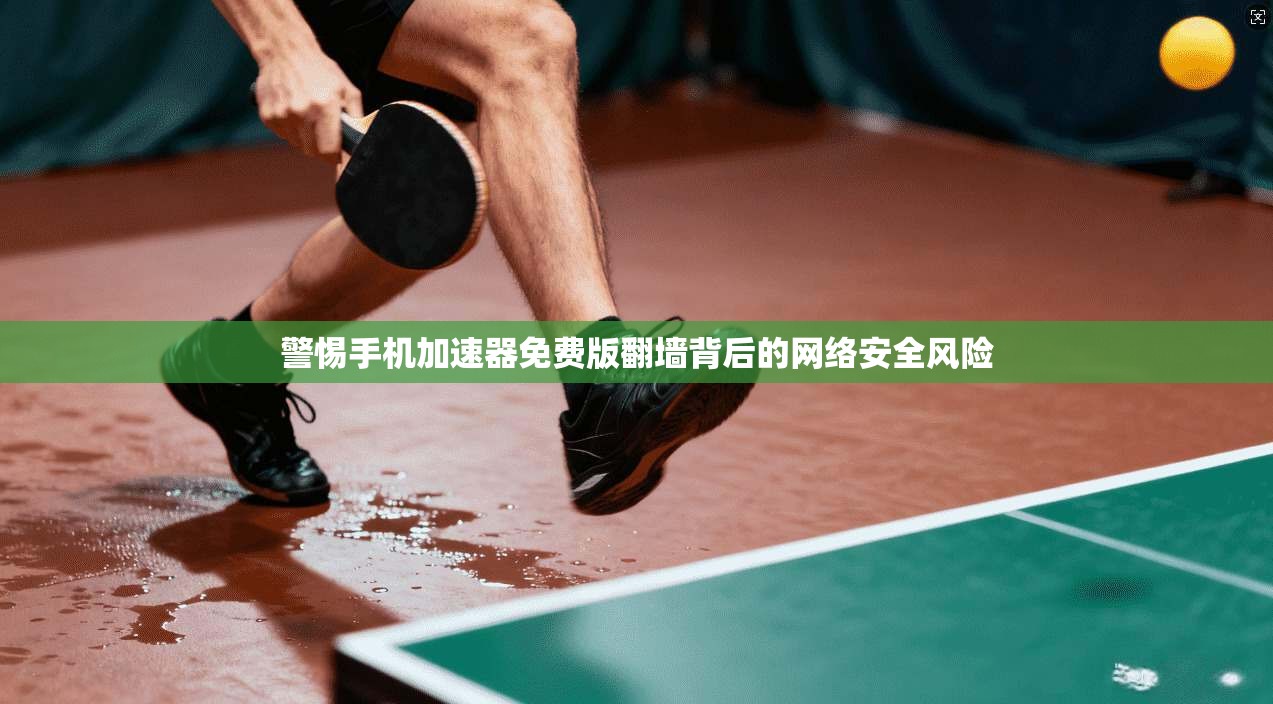 警惕手机加速器免费版翻墙背后的网络安全风险