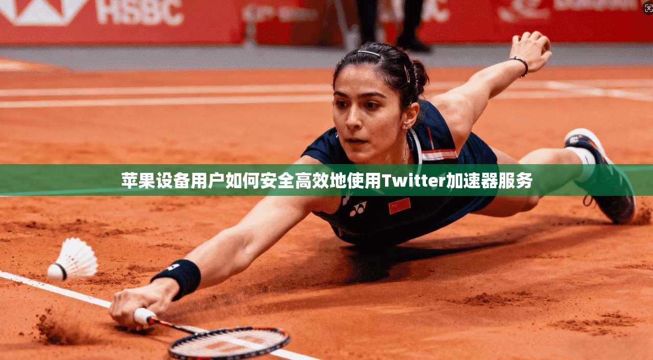 苹果设备用户如何安全高效地使用Twitter加速器服务