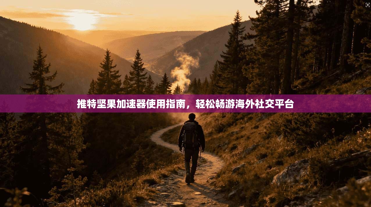 推特坚果加速器使用指南，轻松畅游海外社交平台