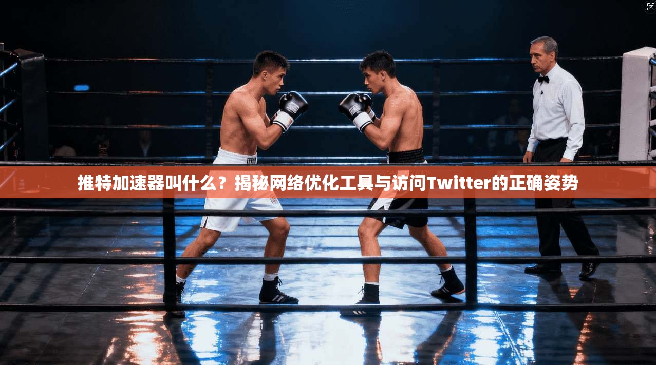 推特加速器叫什么？揭秘网络优化工具与访问Twitter的正确姿势