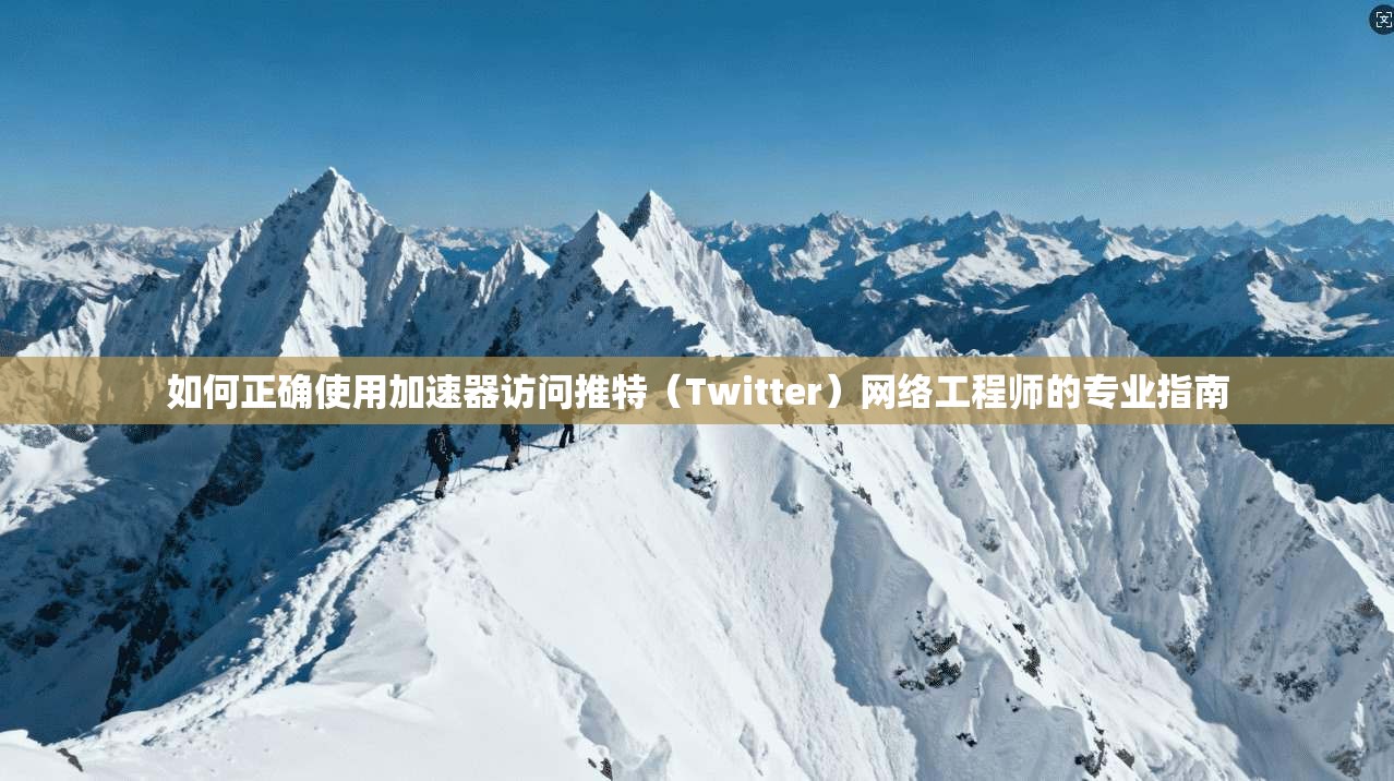如何正确使用加速器访问推特（Twitter）网络工程师的专业指南