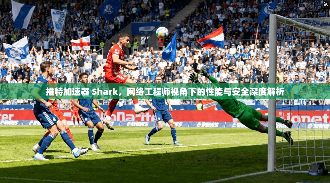 推特加速器 Shark，网络工程师视角下的性能与安全深度解析