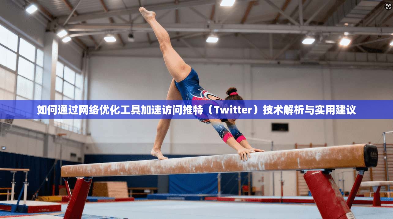 如何通过网络优化工具加速访问推特(Twitter)技术解析与实用建议