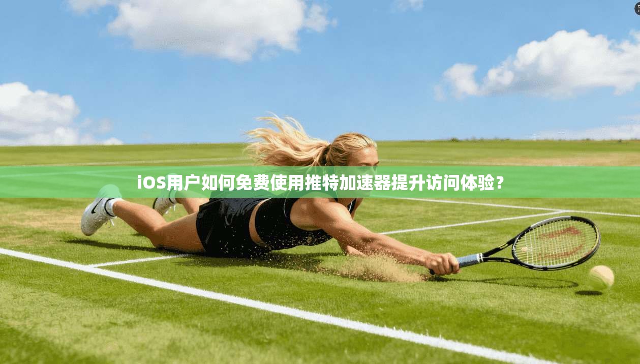 iOS用户如何免费使用推特加速器提升访问体验？