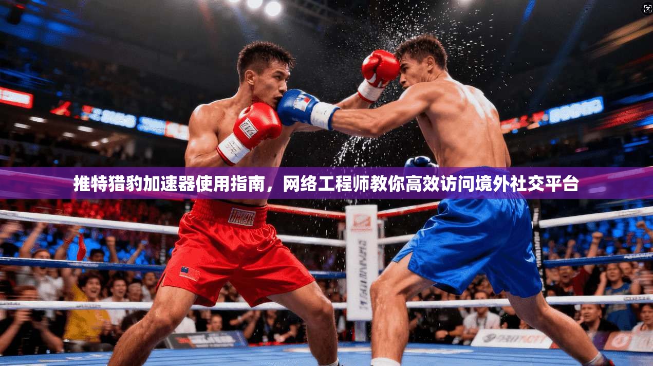推特猎豹加速器使用指南,网络工程师教你高效访问境外社交平台