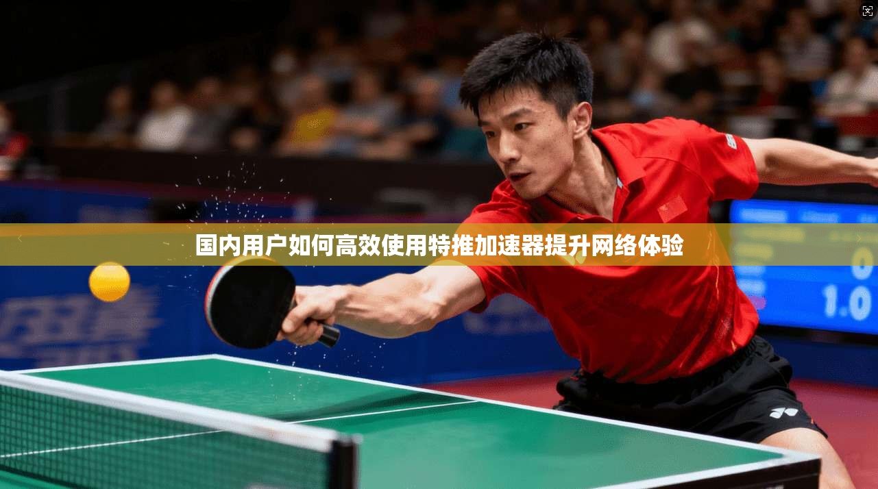国内用户如何高效使用特推加速器提升网络体验
