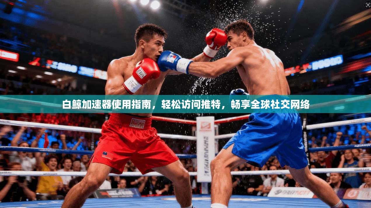 白鲸加速器使用指南，轻松访问推特，畅享全球社交网络