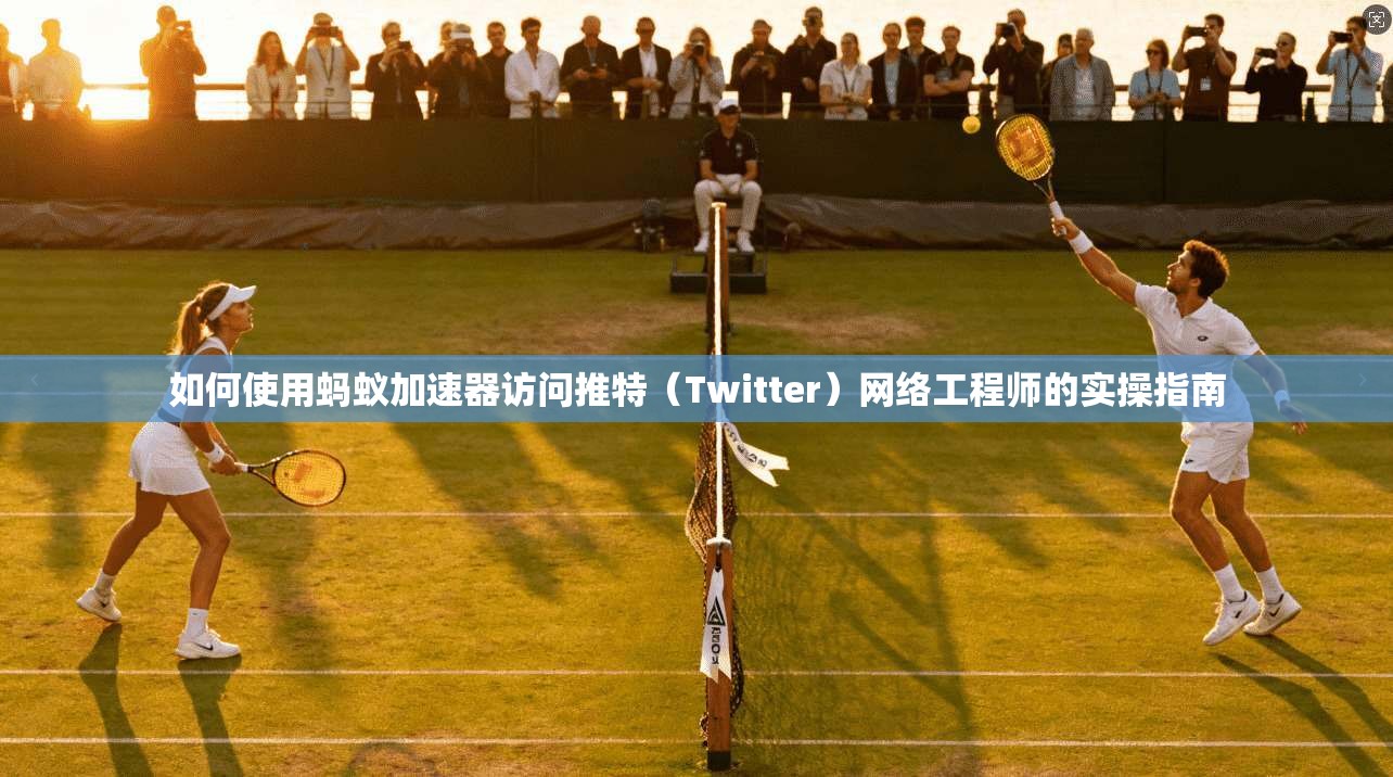 如何使用蚂蚁加速器访问推特(Twitter)网络工程师的实操指南