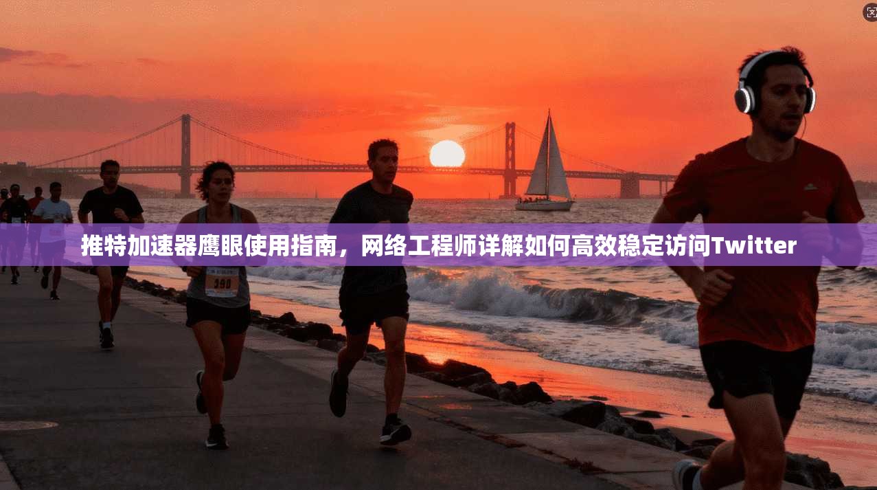 推特加速器鹰眼使用指南,网络工程师详解如何高效稳定访问Twitter 推特加速器鹰眼使用指南,网络工程师详解如何高效稳定访问Twitter