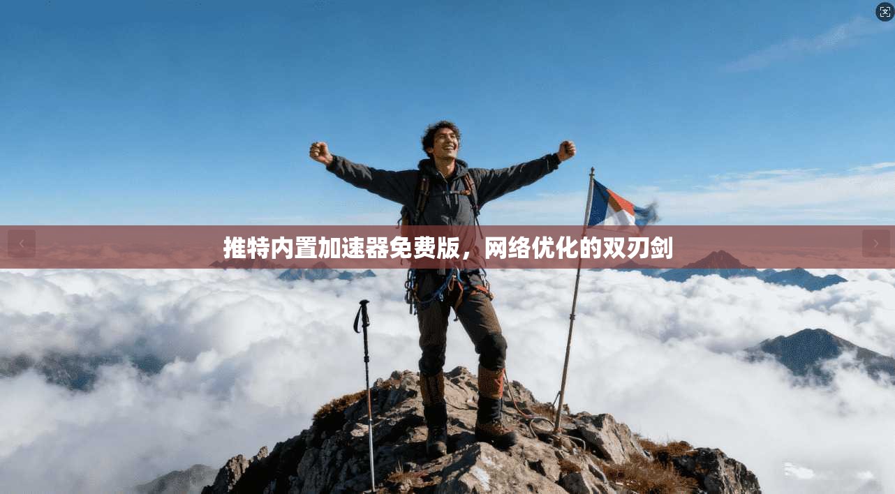 推特内置加速器免费版，网络优化的双刃剑