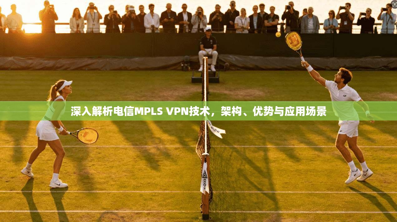 深入解析电信MPLS VPN技术，架构、优势与应用场景