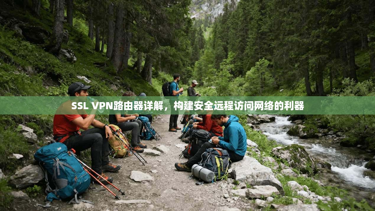 SSL VPN路由器详解，构建安全远程访问网络的利器