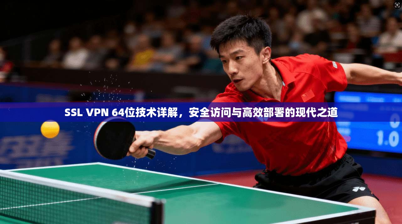 SSL VPN 64位技术详解，安全访问与高效部署的现代之道