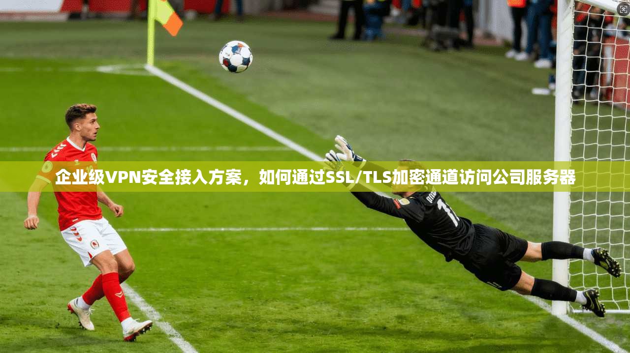 企业级VPN安全接入方案，如何通过SSL/TLS加密通道访问公司服务器