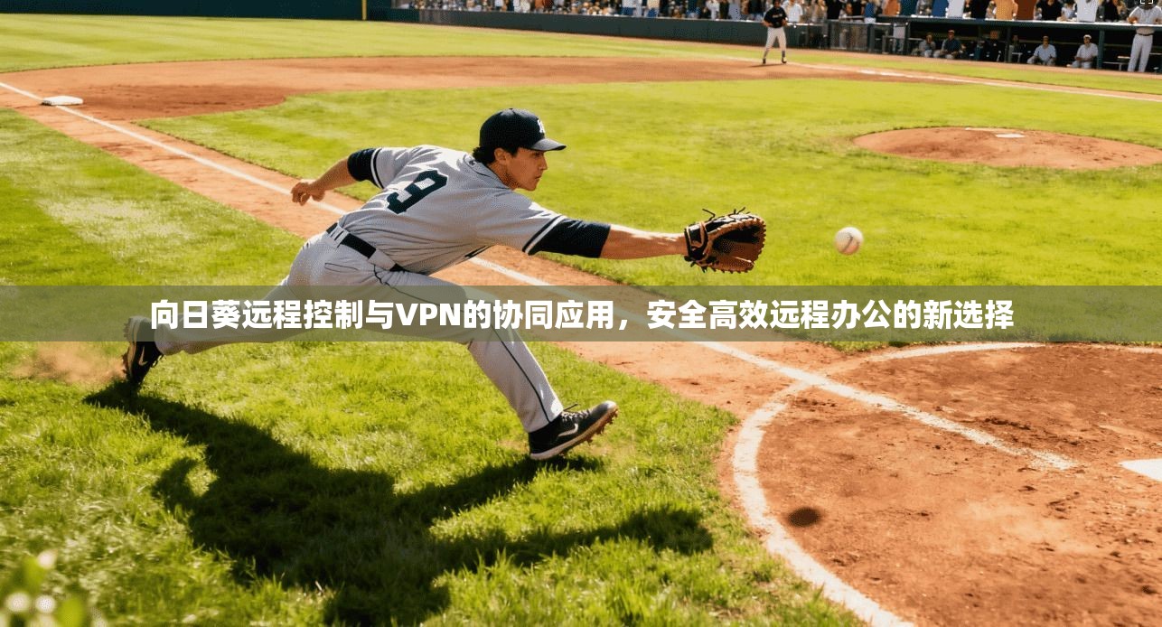 向日葵远程控制与VPN的协同应用，安全高效远程办公的新选择