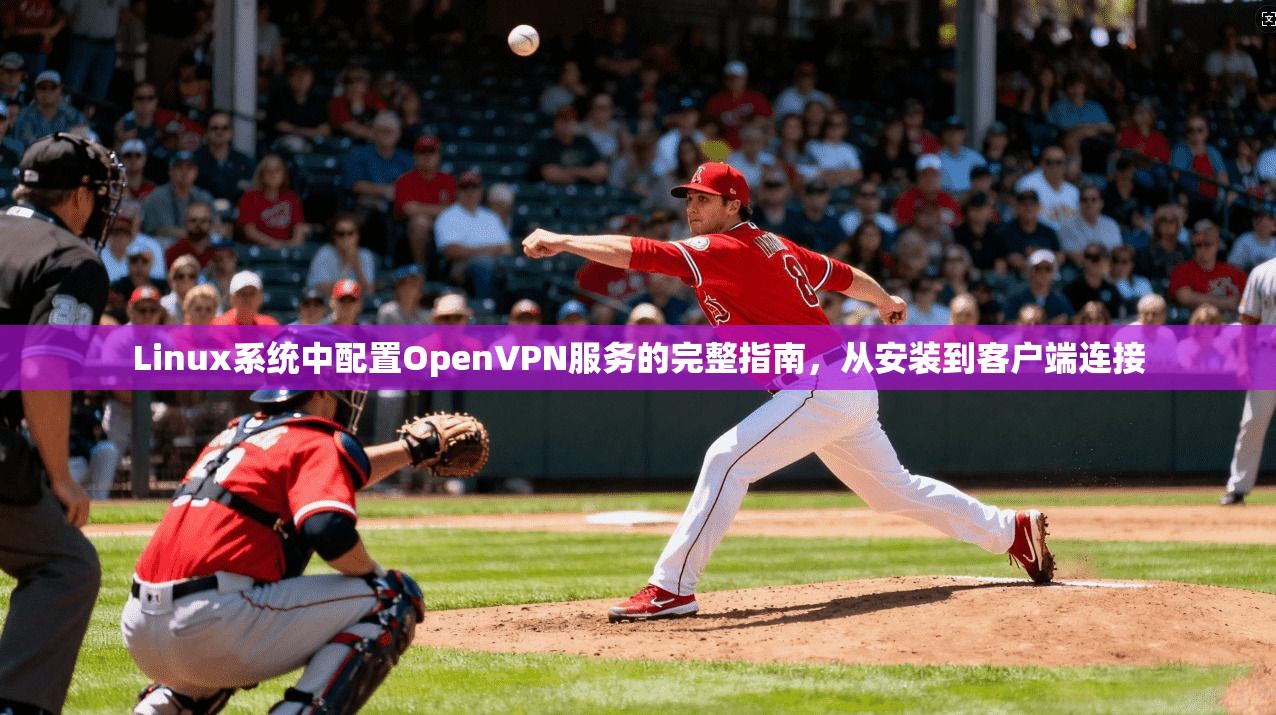 Linux系统中配置OpenVPN服务的完整指南，从安装到客户端连接