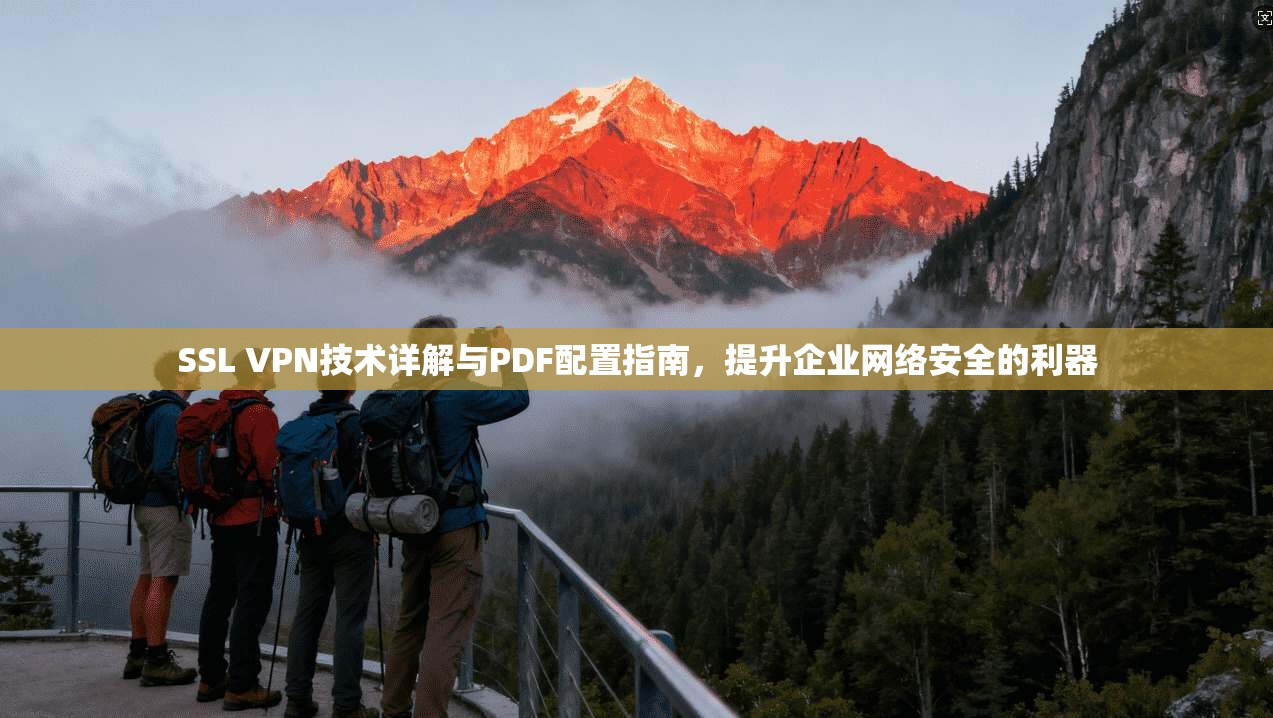 SSL VPN技术详解与PDF配置指南，提升企业网络安全的利器