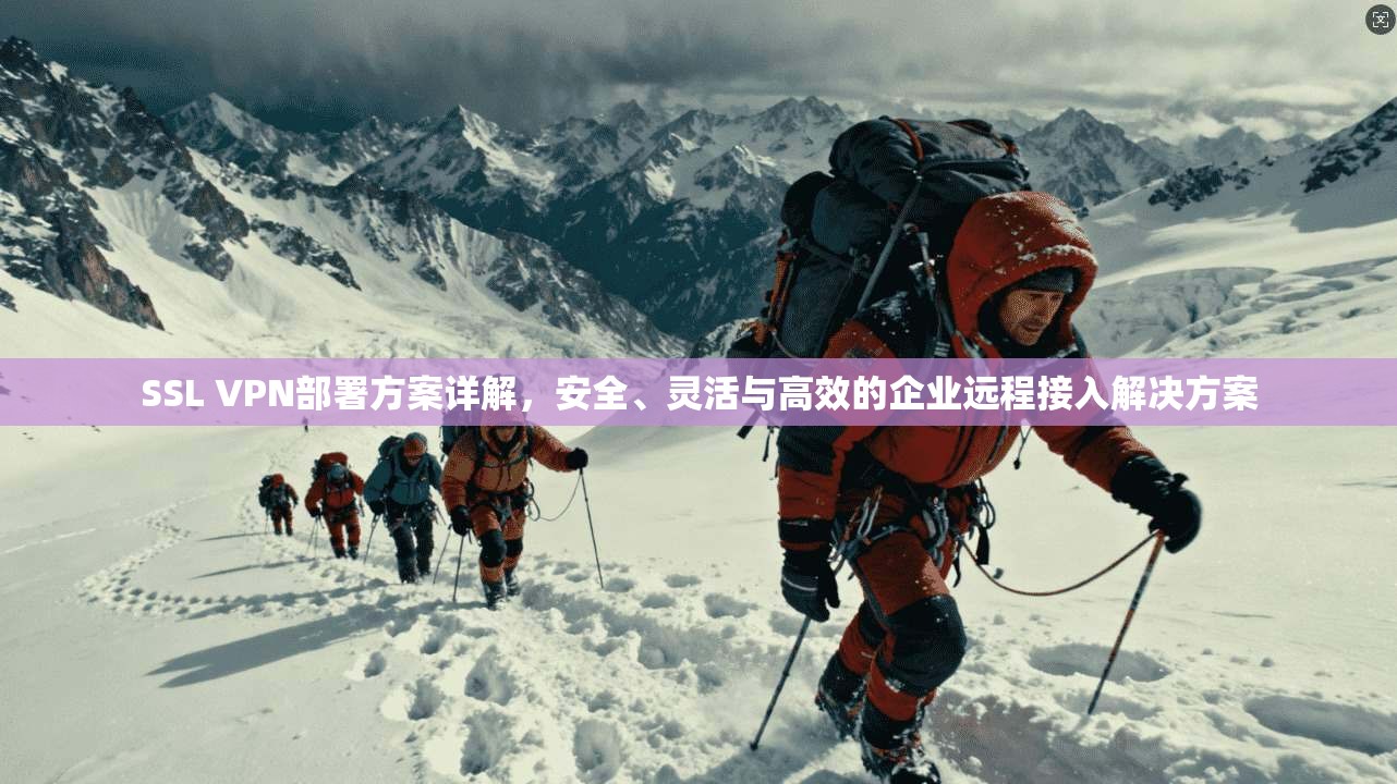 SSL VPN部署方案详解,安全、灵活与高效的企业远程接入解决方案 SSL VPN部署方案详解,安全、灵活与高效的企业远程接入解决方案
