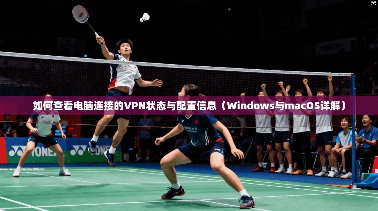 如何查看电脑连接的VPN状态与配置信息（Windows与macOS详解）