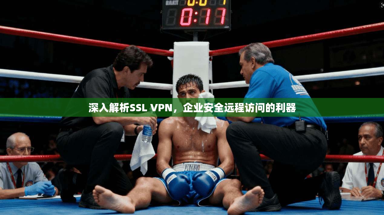 深入解析SSL VPN，企业安全远程访问的利器