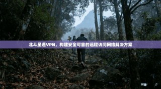 北斗星通VPN，构建安全可靠的远程访问网络解决方案