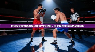 如何安全高效地选择和使用VPN地址，专业网络工程师的深度解析
