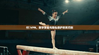 付費VPN，数字安全与隐私保护的双刃剑