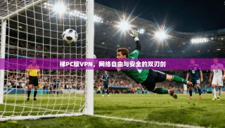 梯PC版VPN，网络自由与安全的双刃剑