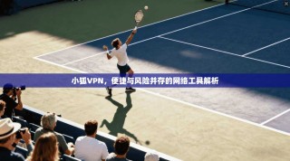 小狐VPN，便捷与风险并存的网络工具解析