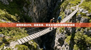 蜂窝移动VPN，连接未来，安全无忧的移动网络新选择