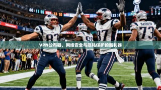 VPN公布器，网络安全与隐私保护的新利器