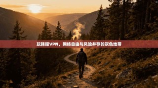 玩韩服VPN，网络自由与风险并存的灰色地带