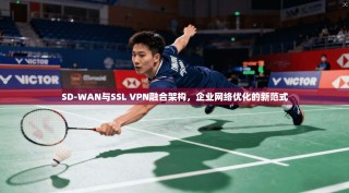 SD-WAN与SSL VPN融合架构，企业网络优化的新范式