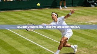 深入解析VPN程序源码，构建安全网络连接的技术核心