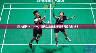 深入解析SSL VPN，现代企业安全远程访问的关键技术