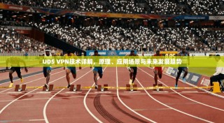 UDS VPN技术详解，原理、应用场景与未来发展趋势