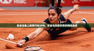 安卓设备上使用巧玲VPN，安全与风险并存的网络选择