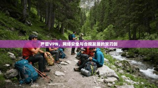 严管VPN，网络安全与合规发展的双刃剑