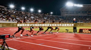 揭秘桃花族VPN背后的网络安全风险与合法使用边界