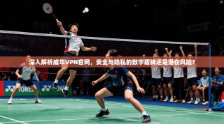 深入解析威华VPN官网，安全与隐私的数字盾牌还是潜在风险？