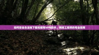 如何安全合法地下载和使用VPN软件，网络工程师的专业指南