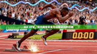 SSS VPN，现代网络安全与远程访问的利器