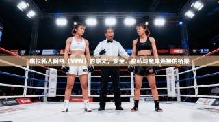 虚拟私人网络（VPN）的意义，安全、隐私与全球连接的桥梁