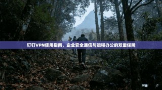 钉钉VPN使用指南，企业安全通信与远程办公的双重保障