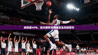 核桃盾VPN，技术解析与网络安全风险警示