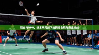 爬虫与VPN，技术双刃剑下的网络合规与安全挑战