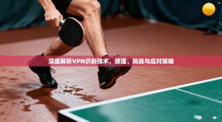 深度解析VPN识别技术，原理、挑战与应对策略